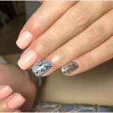 Water Transfer Nail Decal Collection of up to 40 Sheets in Your Choice of Several Themes