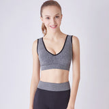 Wireless Padded Seamless Knit Exercise Bra with Removable Pads