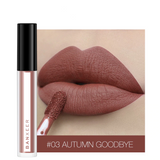 Velvety Liquid Matte Waterproof Liquid Lipstick
