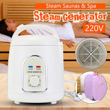 Steam Generator for Home Sauna 110V / 220V