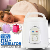 Steam Generator for Home Sauna 110V / 220V