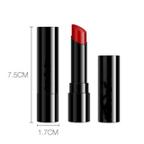 Matte Long Lasting Waterproof Lipstick