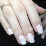 Water Transfer Nail Decal Collection of up to 40 Sheets in Your Choice of Several Themes