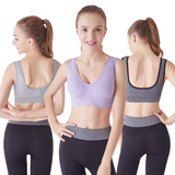 Wireless Padded Seamless Knit Exercise Bra with Removable Pads
