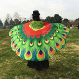 Butterfly Peacock Owl Print Chiffon Beach Wrap Cape