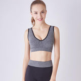 Wireless Padded Seamless Knit Exercise Bra with Removable Pads